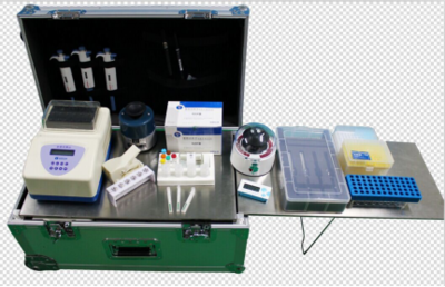 喜報 | 上海快靈推出多重專利基因試紙卡，引領精準檢測新篇章